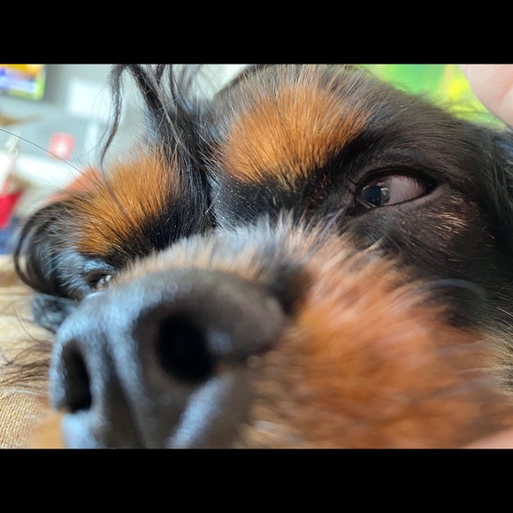 Meet your Posher, Mark - Picture 1 of 1